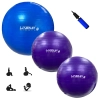 Kit 2 Bolas Suas 55cm + Bola Sua 65cm + Mini Bomba Pilates Yoga Treino Funcional