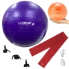 Kit Bola Sua Roxa 55cm Pilates + Overball 25cm + Faixa Elstica Leve Treino Yoga Academia Fitness