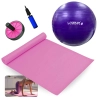 Kit Treino Bola Su��a 55 Cm + Colchonete Eva Pilates / Yoga + Roda Abdominal Rosa + Mini Bomba