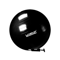 Bola Suia 65 Cm para Pilates e Yoga Premium Anti Estouro Cor Preto