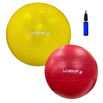 Kit Bola Sua 45cm + Bola 75cm Pilates Yoga Academia Treino Funcional + Mini Bomba