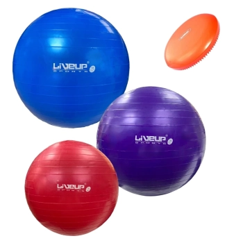 Kit 3 Bolas Suas 45cm + 55cm + 65cm + Disco Inflvel Pilates Yoga Treino Funcional Academia