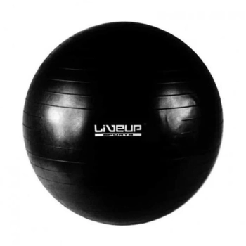 Bola Suia 65 Cm para Pilates e Yoga Premium Anti Estouro Cor Preto