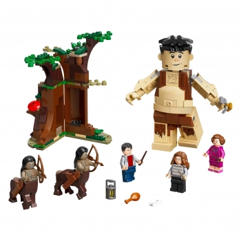 Kit Lego Harry Potter a Floresta Proibida 253 Peas + Lego Sala Precisa 193 Peas