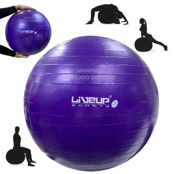 Bola Suia de Pilates 55 Cm Roxa Treino Pilates Ginastica Academia Yoga Exercicios