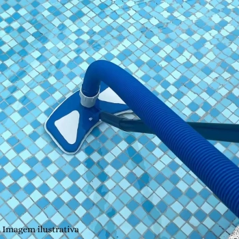 Aspirador para Piscina Asa Delta com Escova de Limpeza