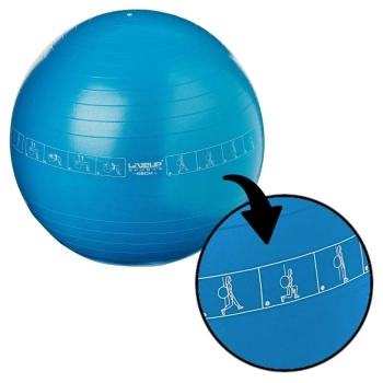 Mercado Diversão : Bola Pilates Suiça 65 Cm com Ilustração de Exercícios  Cor Azul