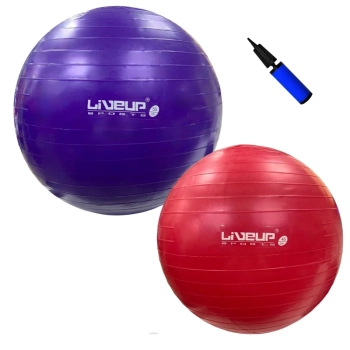 Kit Bola Sua 55cm Roxa + Bola Sua 45cm Vermelha Pilates Yoga Academia Treino + Mini Bomba