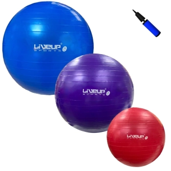 Kit 3 Bolas Suias para Pilates 45cm 55cm e 65cm + Mini Bomba Treino, Yoga, Exercicios e Ginastica